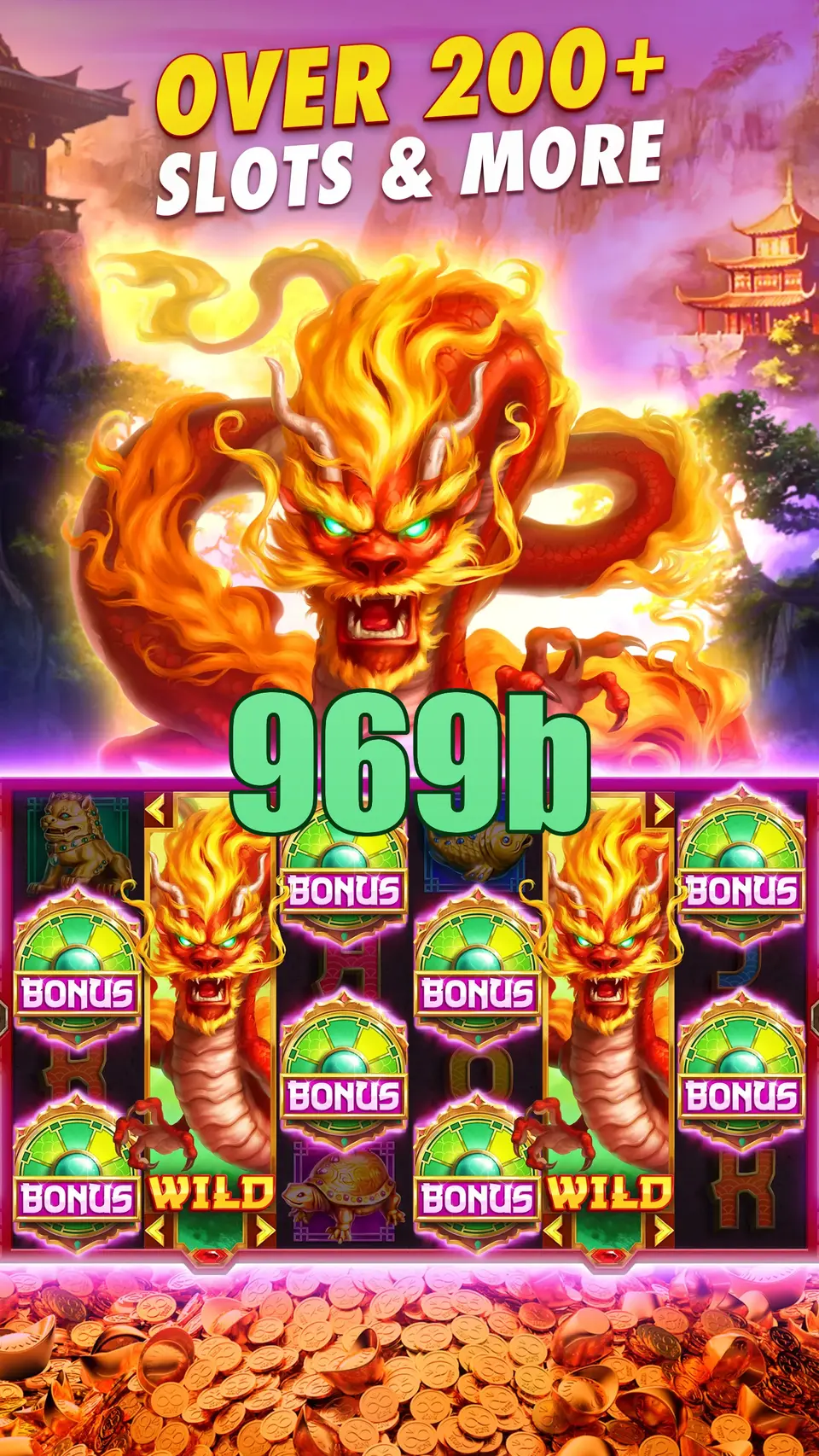 969b Login